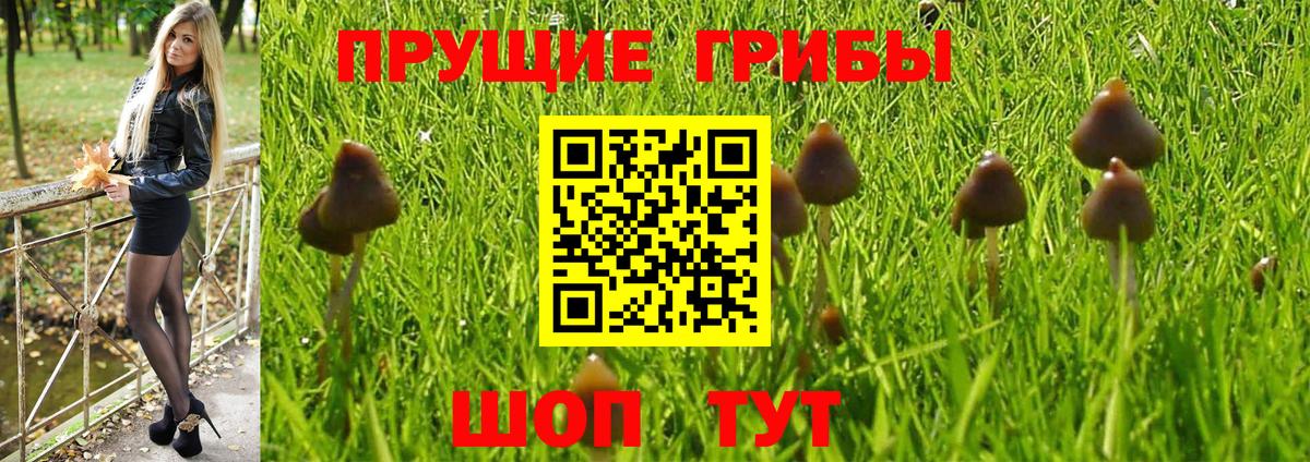 Псилоцибиновые грибы Magic Shrooms Аргун