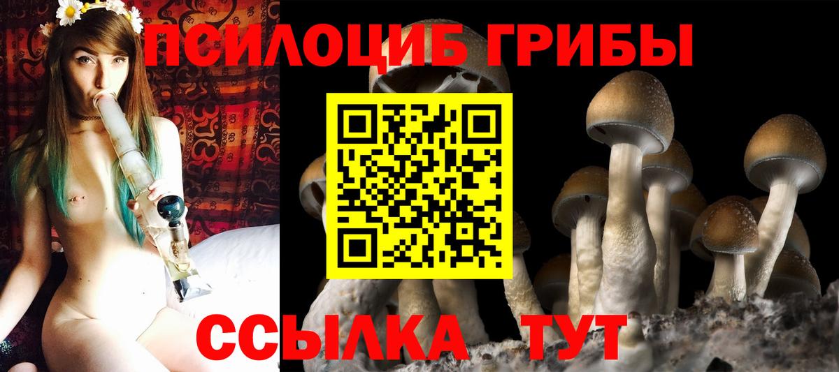Аргун  Псилоцибиновые грибы Magic Shrooms  магазин    Галлюциногенные грибы Magic Shrooms  Вход с VPN 
